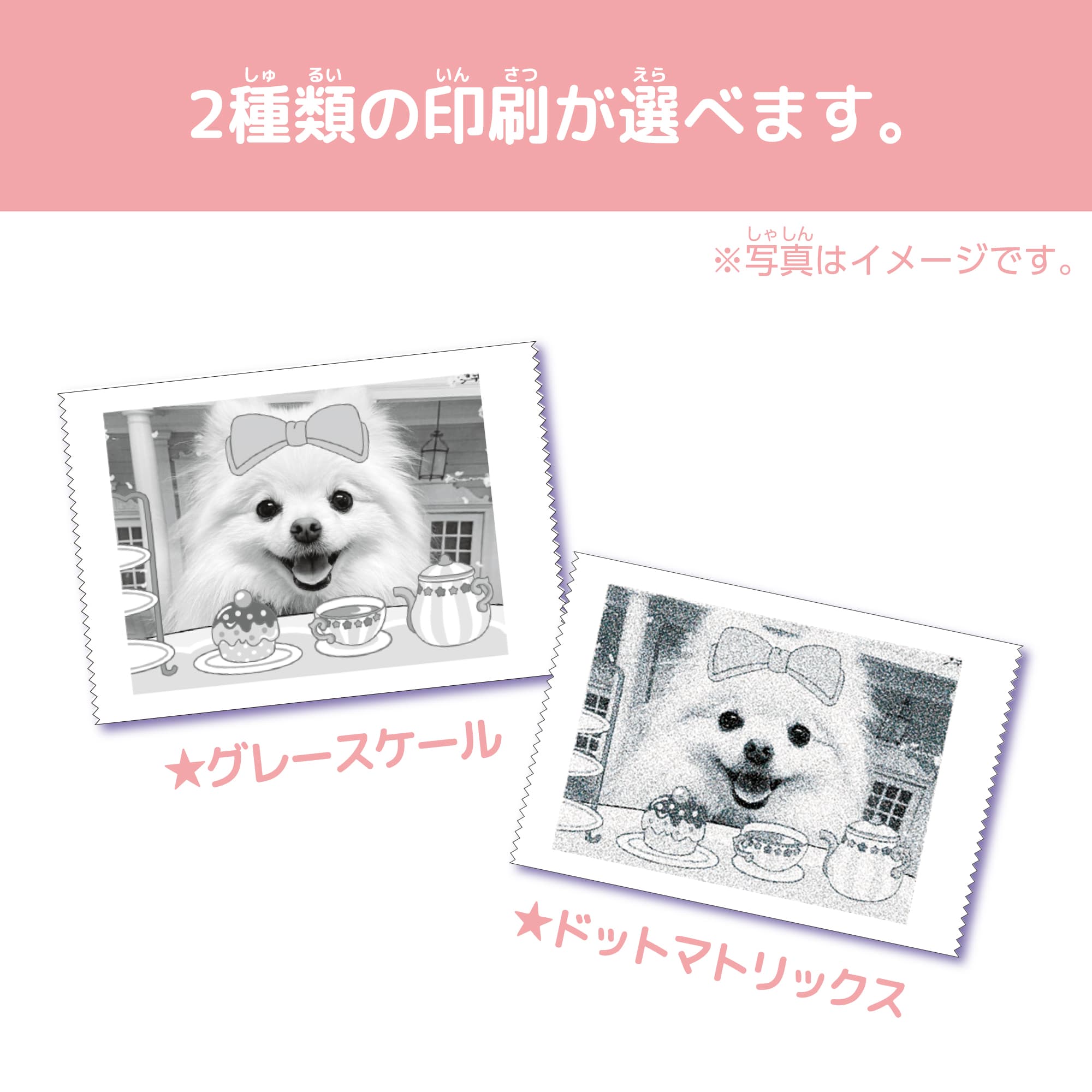 2種類の印刷が選べます